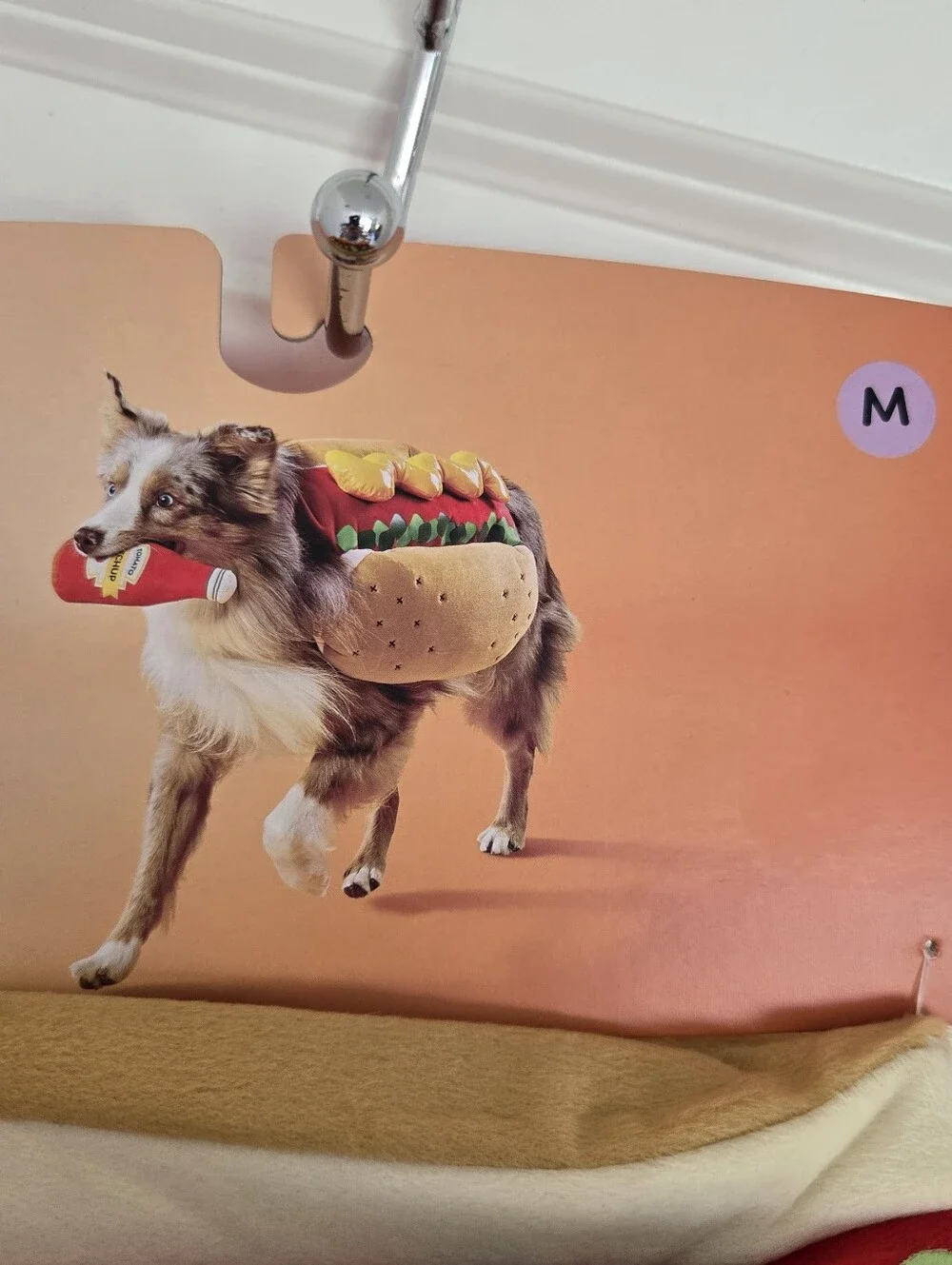 Target dog hot